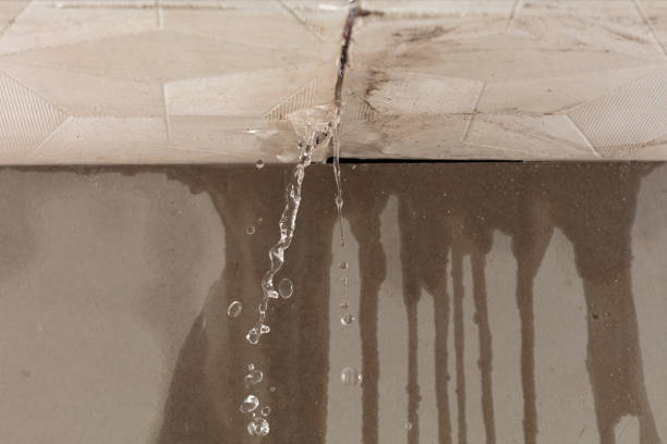 Professional Water Damage Repair technician working in Jemez Springs, NM